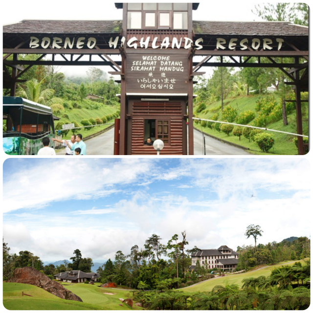Borneo Highlands Resort Pet-Friendly Hotel Vacay With Your Furkids At These Pet-Friendly Hotels In Malaysia Borneo Highlands Resort Pet Friendly Hotel
