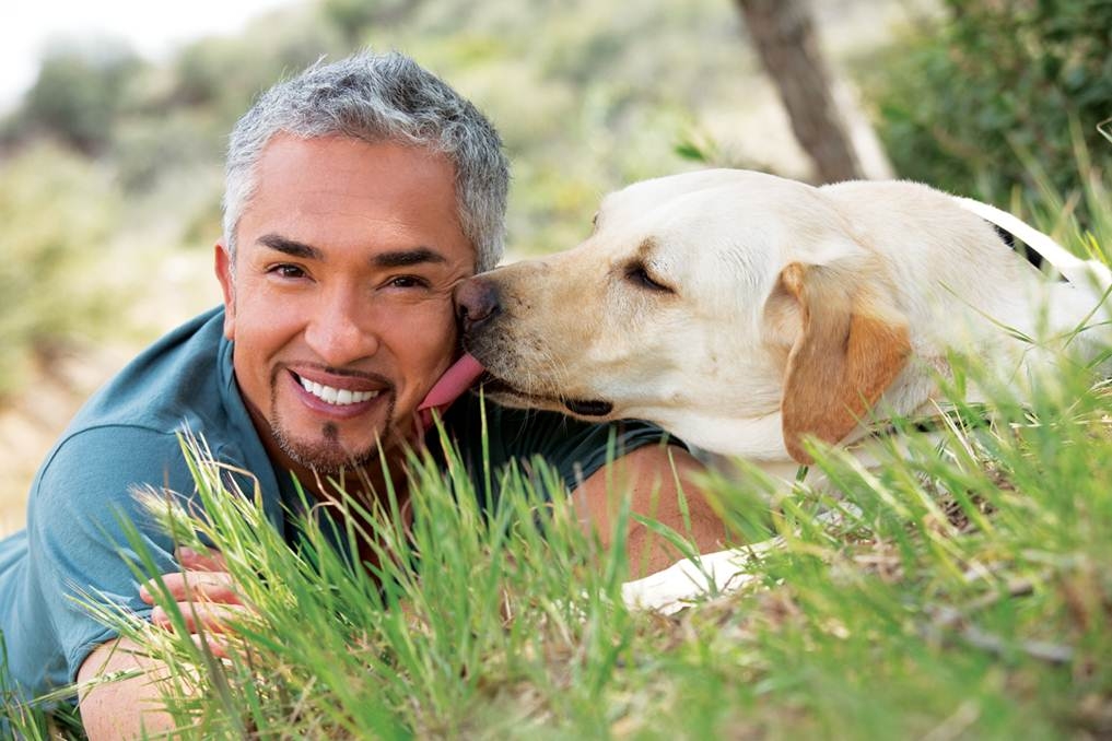 #DogWhisperer: Cesar Millan Heads To KL For A Live "Love Your Dogs Tour