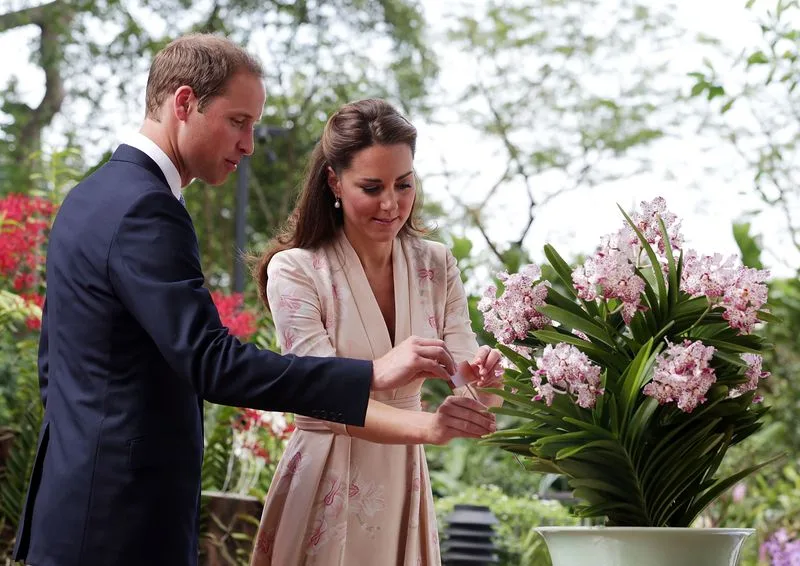Will & Kate Singapore Orchid Vanda William Catherine