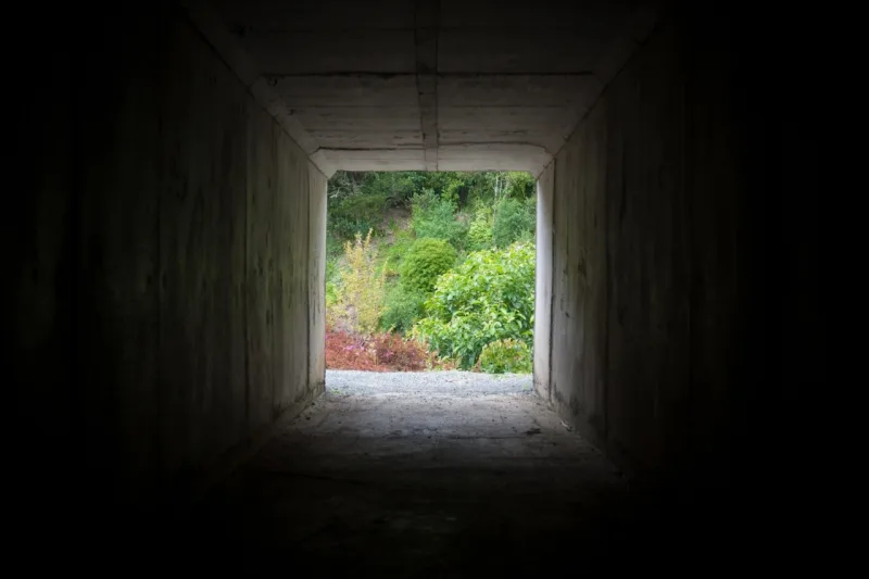 Patrick J Adams Garden Quarry Whangarei NZ 2012