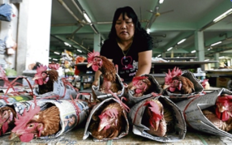 Mrs Wong Sibu Chicken