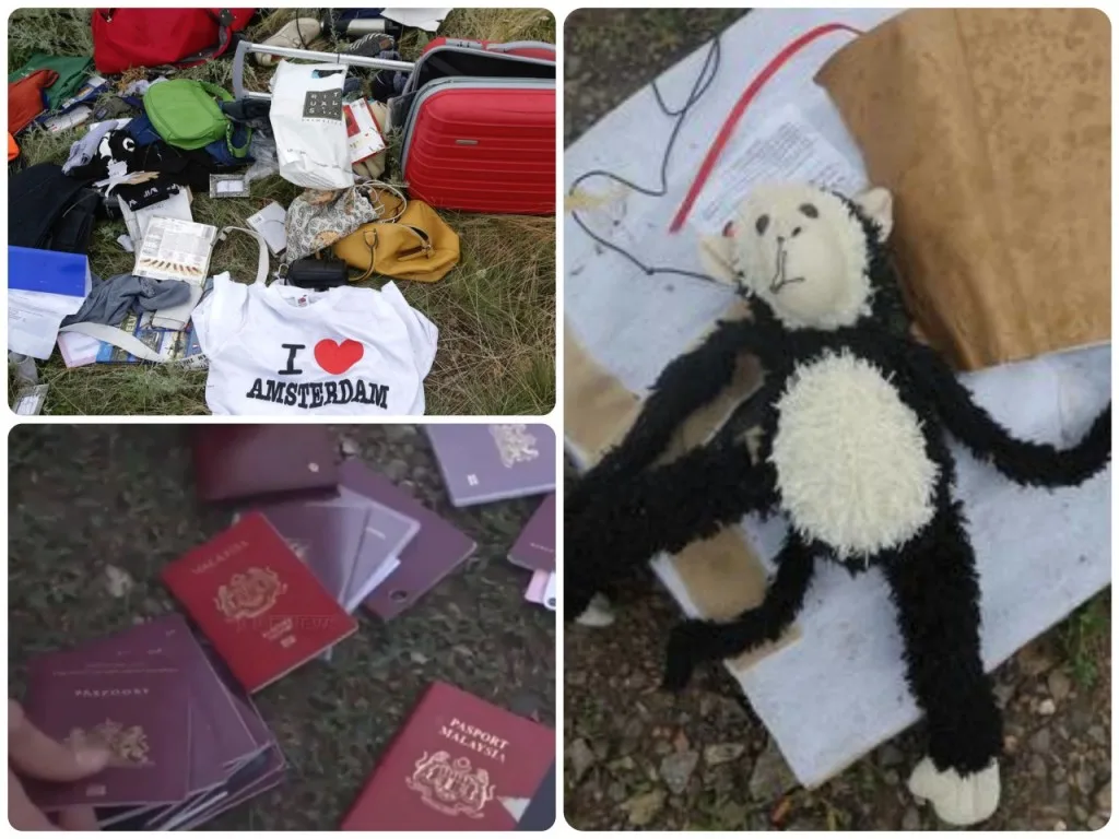 MH17 Crash Site Ukraine