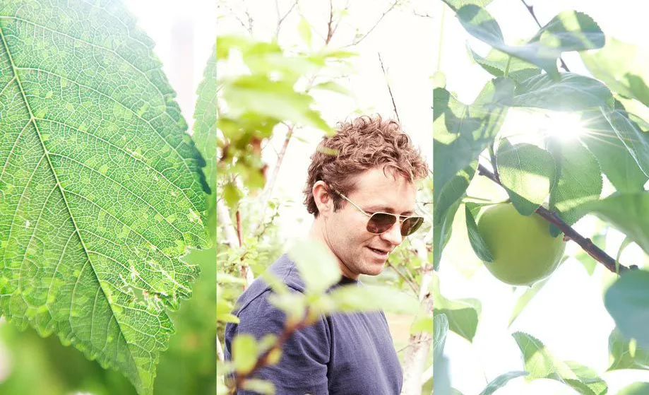 Source: www.ahronfoster.com