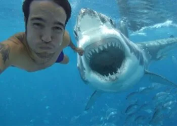 Photo via http://www.intouchweekly.com/