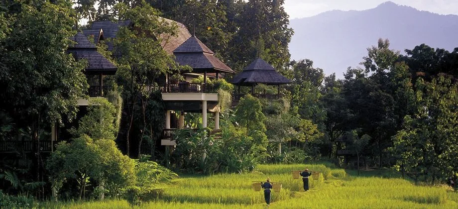 Four Seasons Tented Camp Golden Triangle