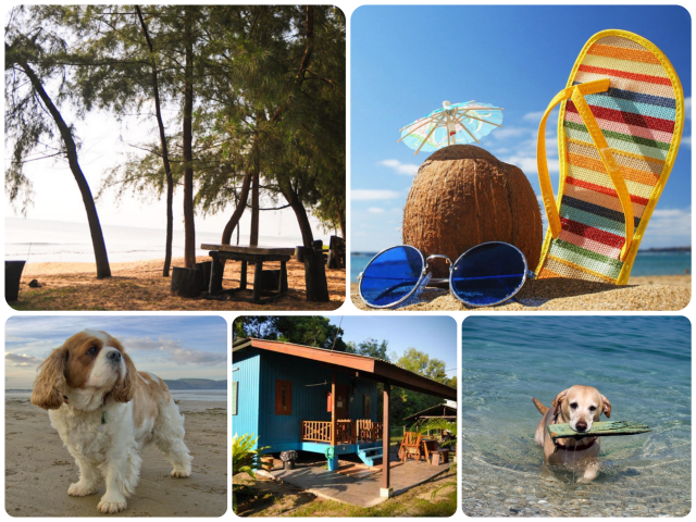 travel with pets malaysia