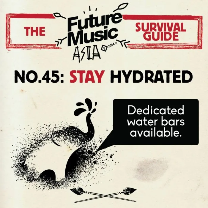 Photo via Future Music Festival Asia on Facebook