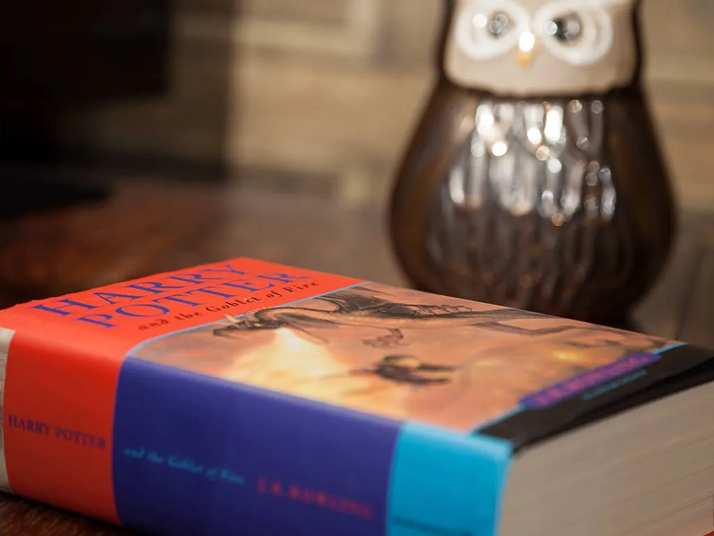 Harry Potter book in hotel