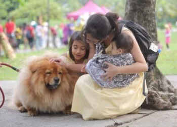 A family gets acquainted with a dog at the "I Want To Touch A Dog" event at 1Utama’s Central Park, October 19, 2014. — Pictures by Choo Choy May - (Source: www.mmail.com.my)