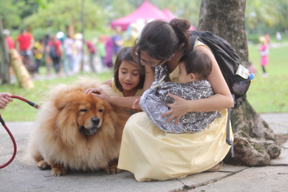 A family gets acquainted with a dog at the "I Want To Touch A Dog" event at 1Utama’s Central Park, October 19, 2014. — Pictures by Choo Choy May - (Source: www.mmail.com.my)
