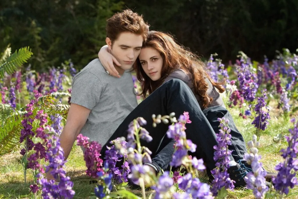 THE TWILIGHT SAGA: BREAKING DAWN-PART 2