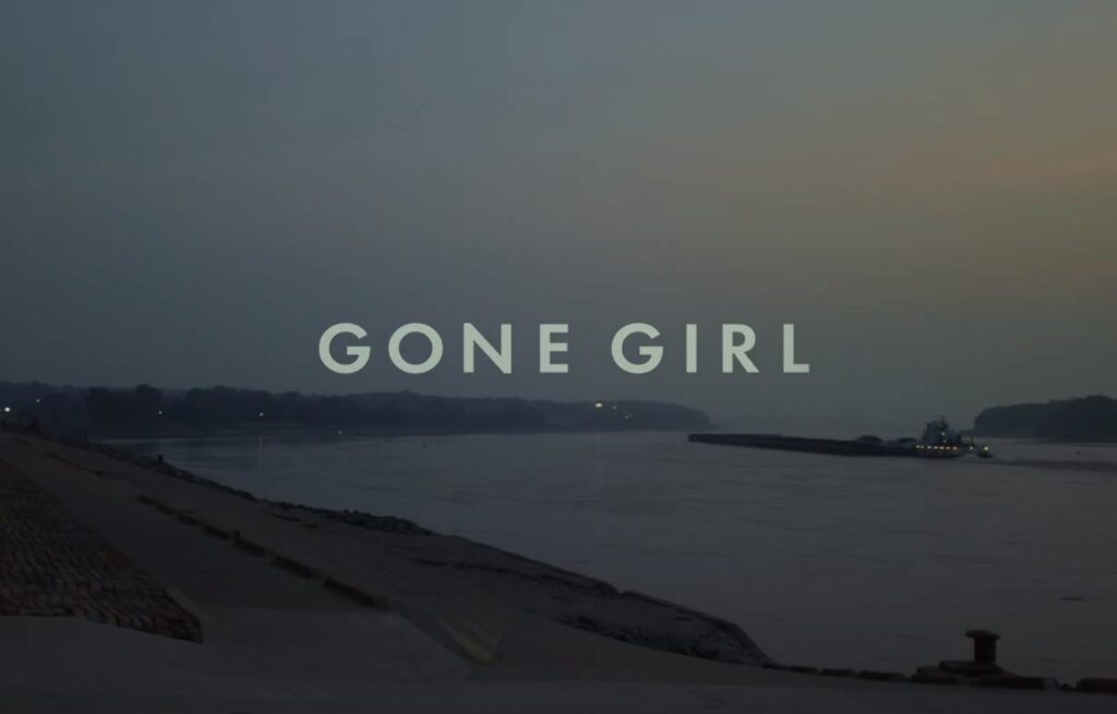 Gone Girl Review