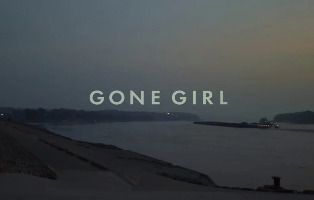 Gone Girl Review