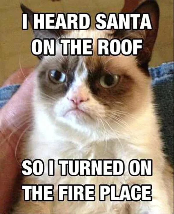 Grumpy Cat Christmas