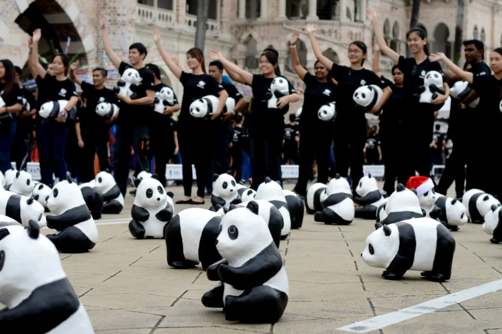 Pandas at Dataran Merdeka