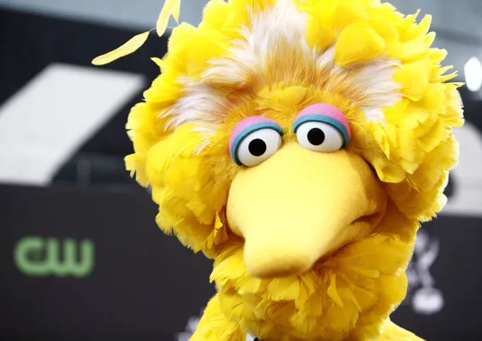Big Bird Twitter