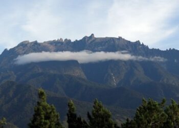 Source: http://www.sayangsabah.com/