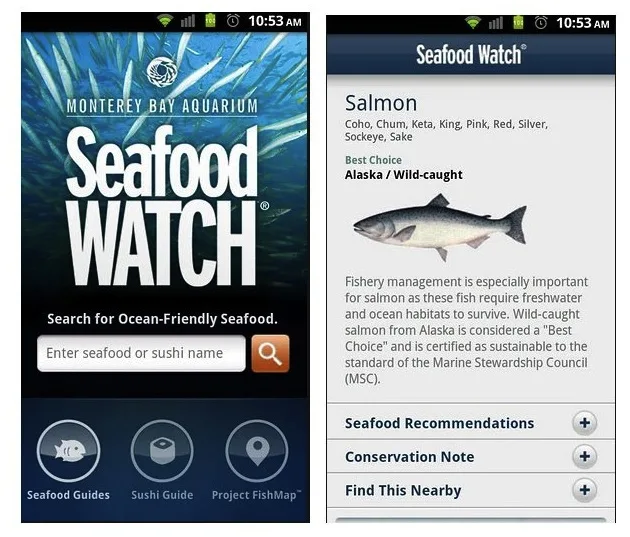 Seafood Watch