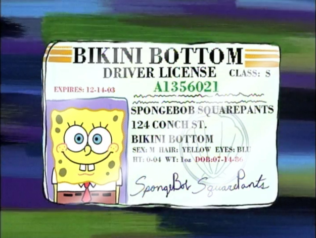 SpongeBob Bikini Bottom Driving License