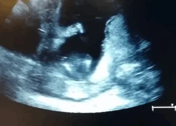 Source: https://www.youtube.com/user/jencardinal