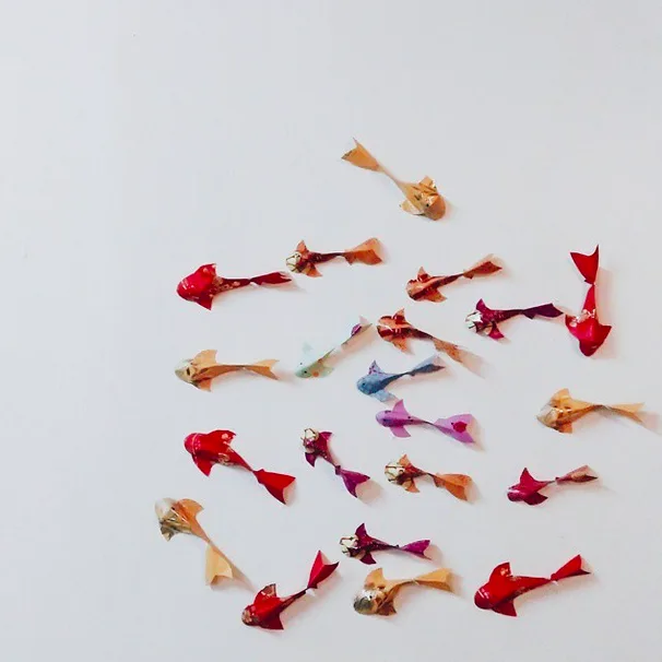 Source: instagram.com/adrina_xo