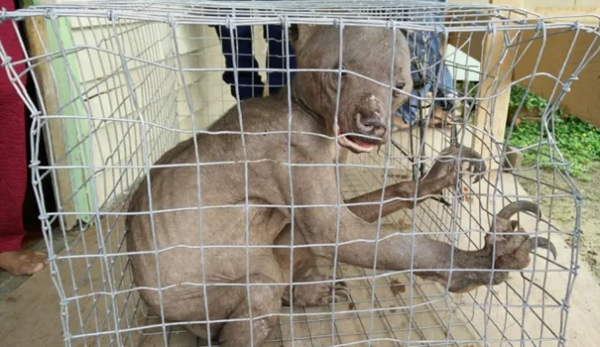 Source: www.inquisitr.com