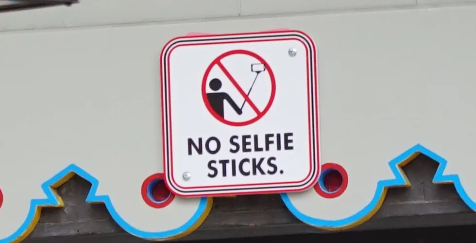 Disney Selfie Stick