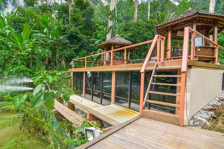 Templer Park Rainforest Retreat