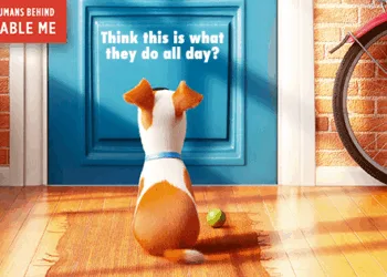 Source: The Secret Life of Pets - Facebook