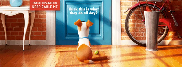 Source: The Secret Life of Pets - Facebook