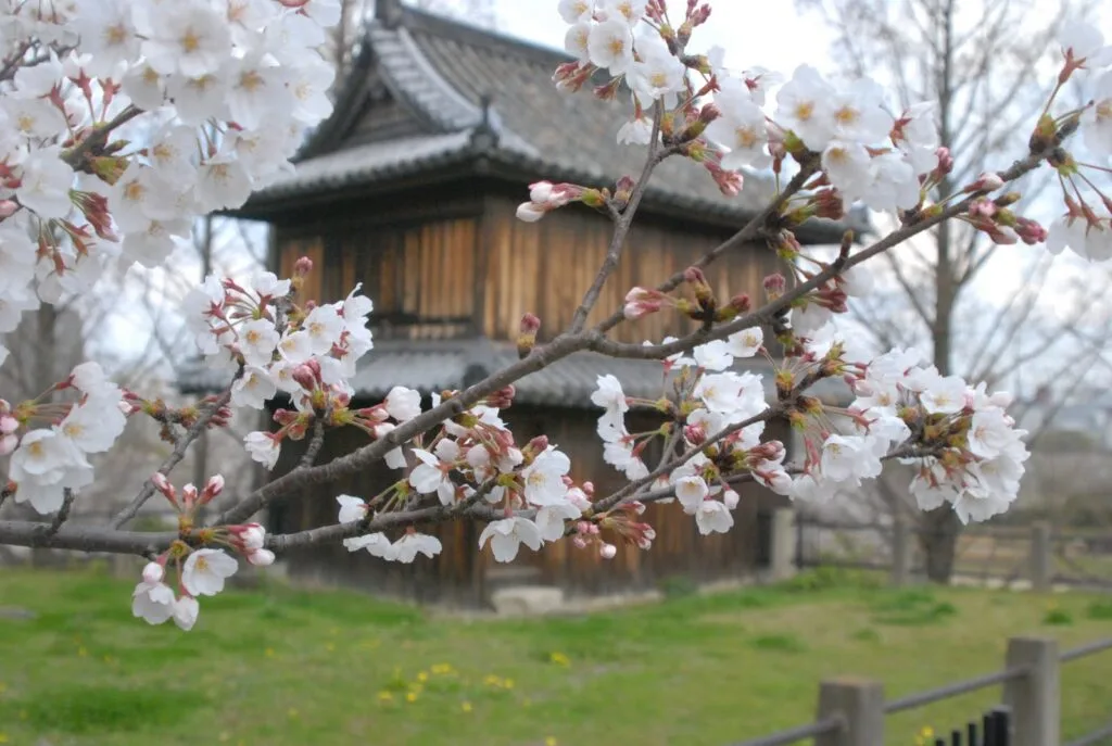 Sapporo Hokkaido Japan