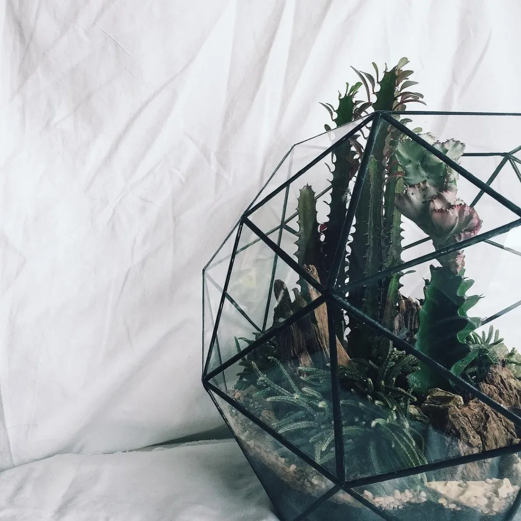 A&E Bangsar Terrarium