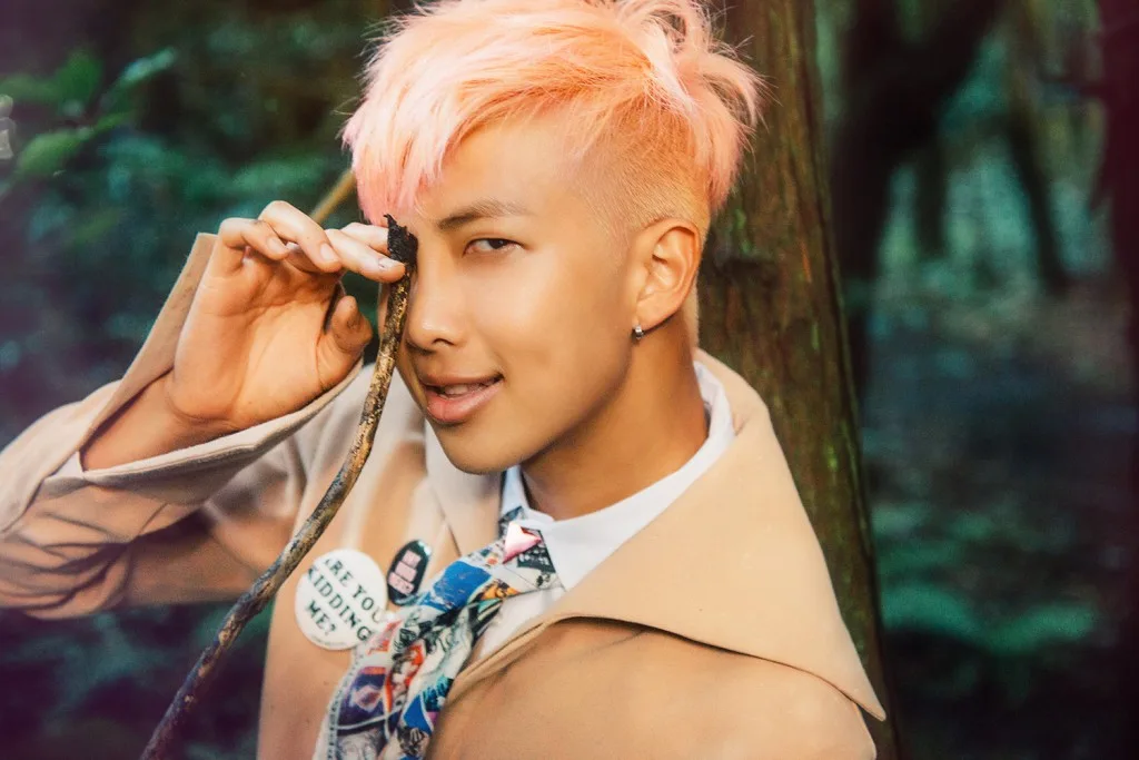 BTS Comeback 2015 - Papillon Rap Monster