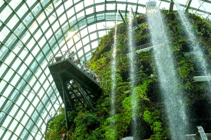 Gardens by the Bay Cooled Conservatories