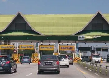 Source: Coffee Ticks