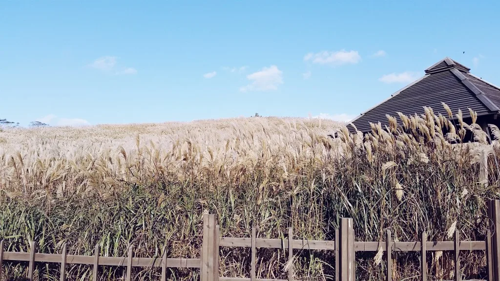 Credit: Lainey @ Hype Malaysia