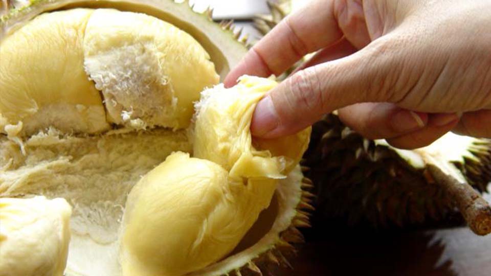 Durian-Fruit-3