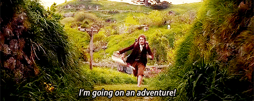 Bilbo Adventure