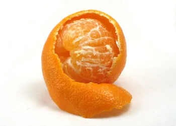 Source: harvesttotable.com