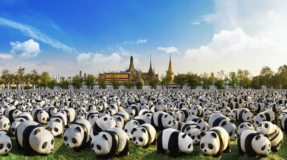 1600 pandas