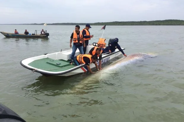 Source: thestar.com.my