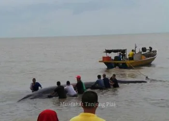 Source: https://www.facebook.com/BrotherhoodJOHOR/