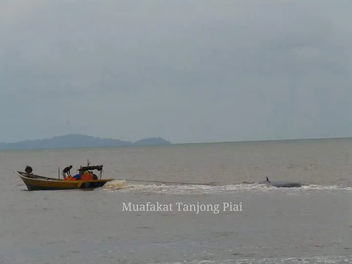 Source: https://www.facebook.com/BrotherhoodJOHOR/