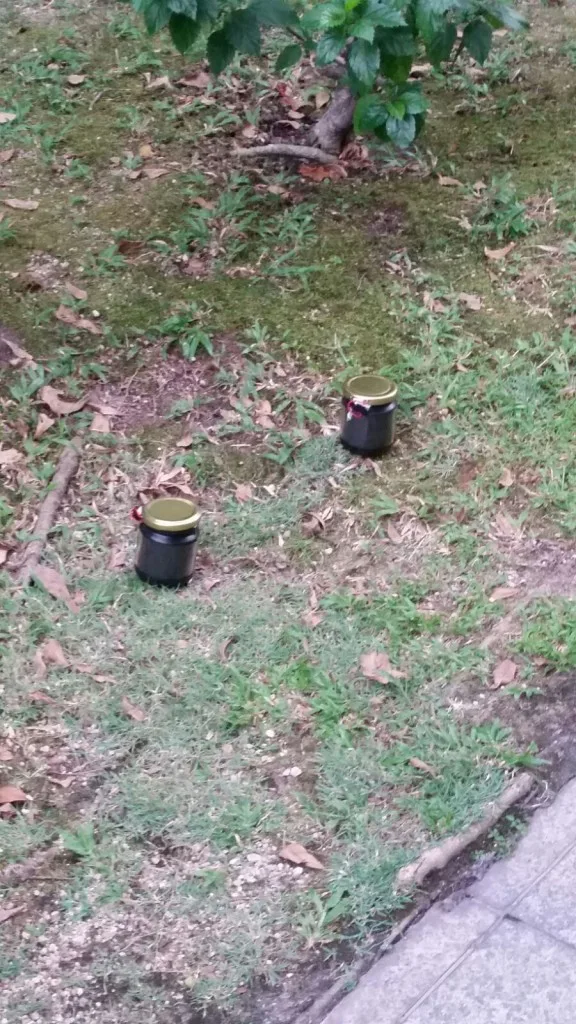 Source: twitter.com/malaysiakini