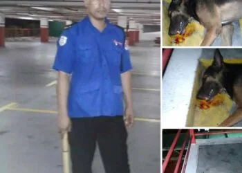 Source: facebook.com/MalaysianDogsDeserveBetter