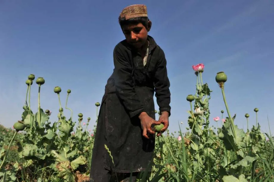 Source: seattlepi.com