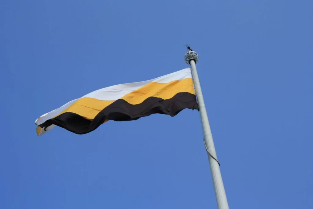 Perak Flag