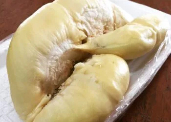 Source: focusnperspective