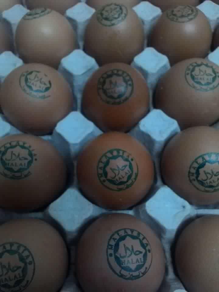 Halal Eggs