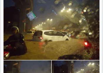 Source: twitter.com/Friendofbomba